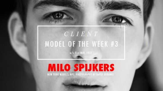 MOTW3_THUMB-01